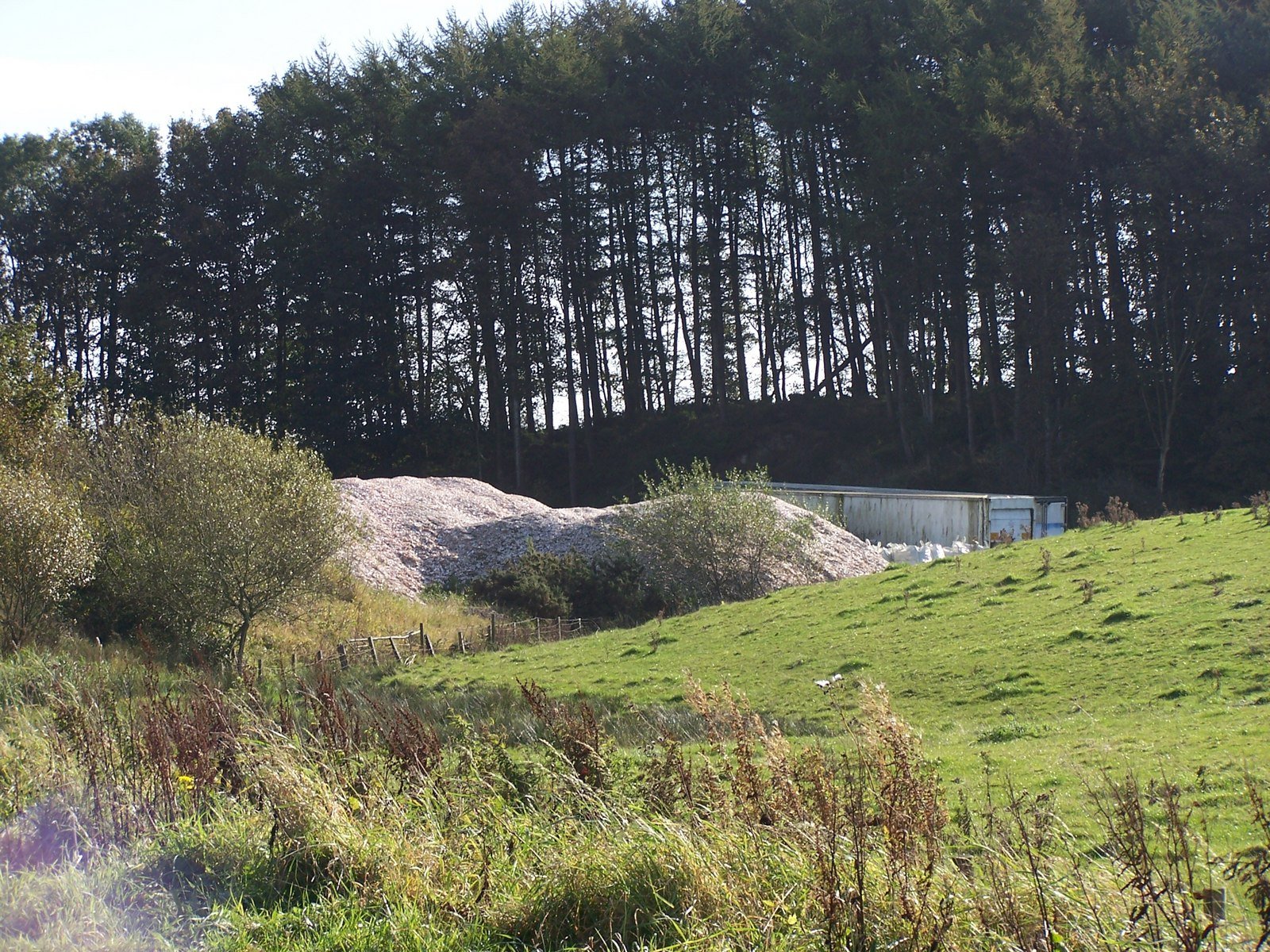 Touring the Shell Rings (image credits: wikimedia)