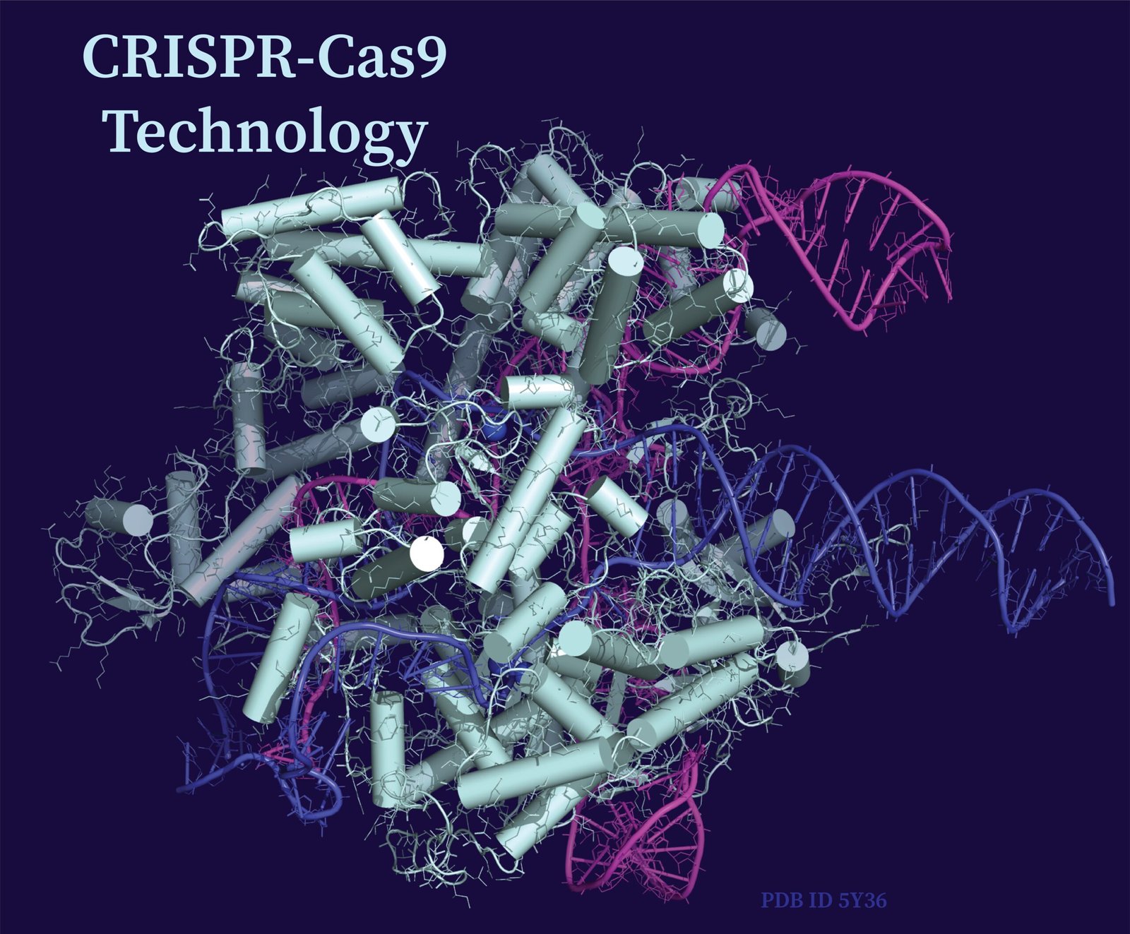 How CRISPR Is Being Used to Fight Infectious Diseases Beyond Genetics