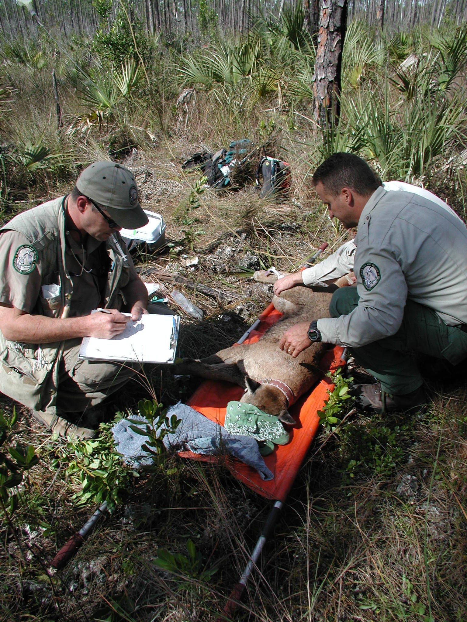 The Role of Science and Research (image credits: wikimedia)