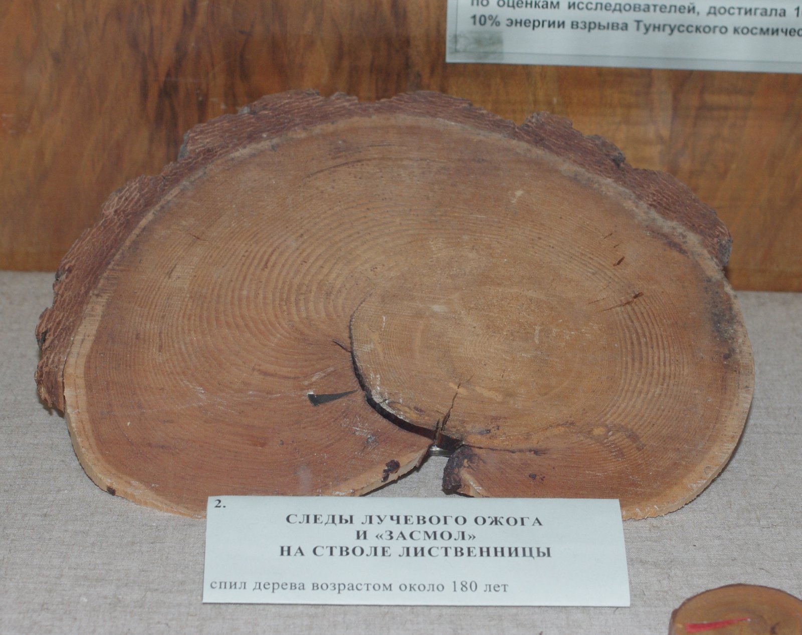 Examining the Evidence (image credits: wikimedia)