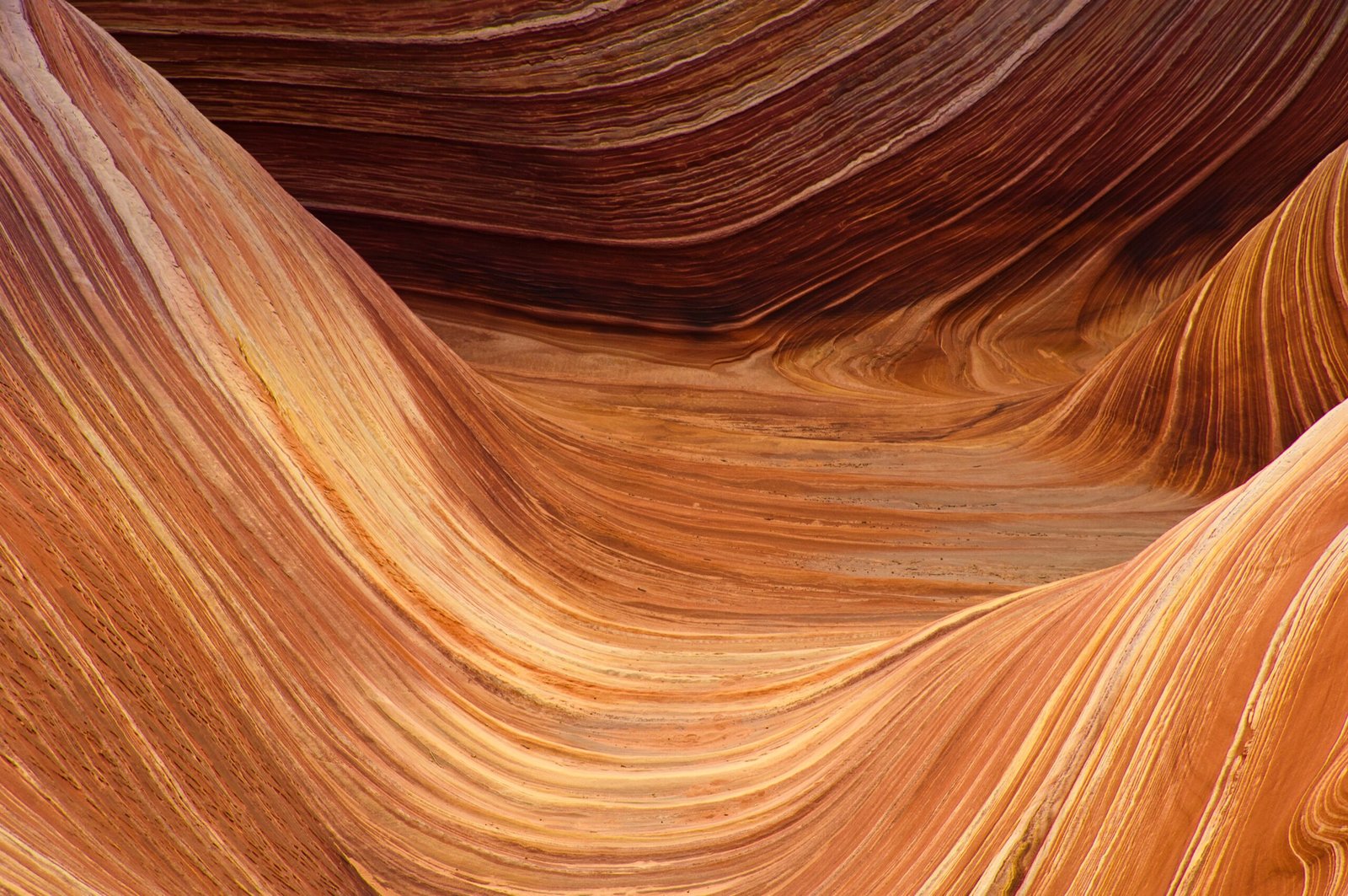 2. The Wave, Arizona, USA (image credits: wikimedia)