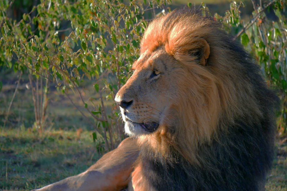 The Role of Scientific Research (image credits: pexels)