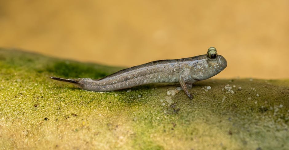 The Evolutionary Significance (image credits: pexels)