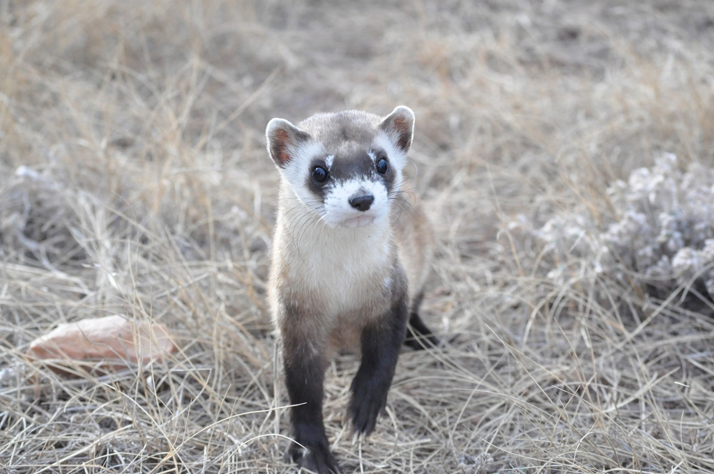 Lessons from Felicia's Story (image credits: rawpixel)