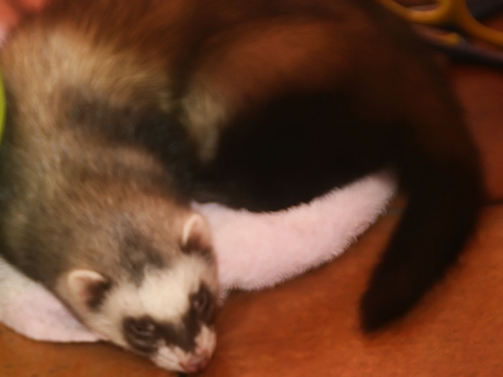 A Legacy of Creativity (image credits: wikimedia)