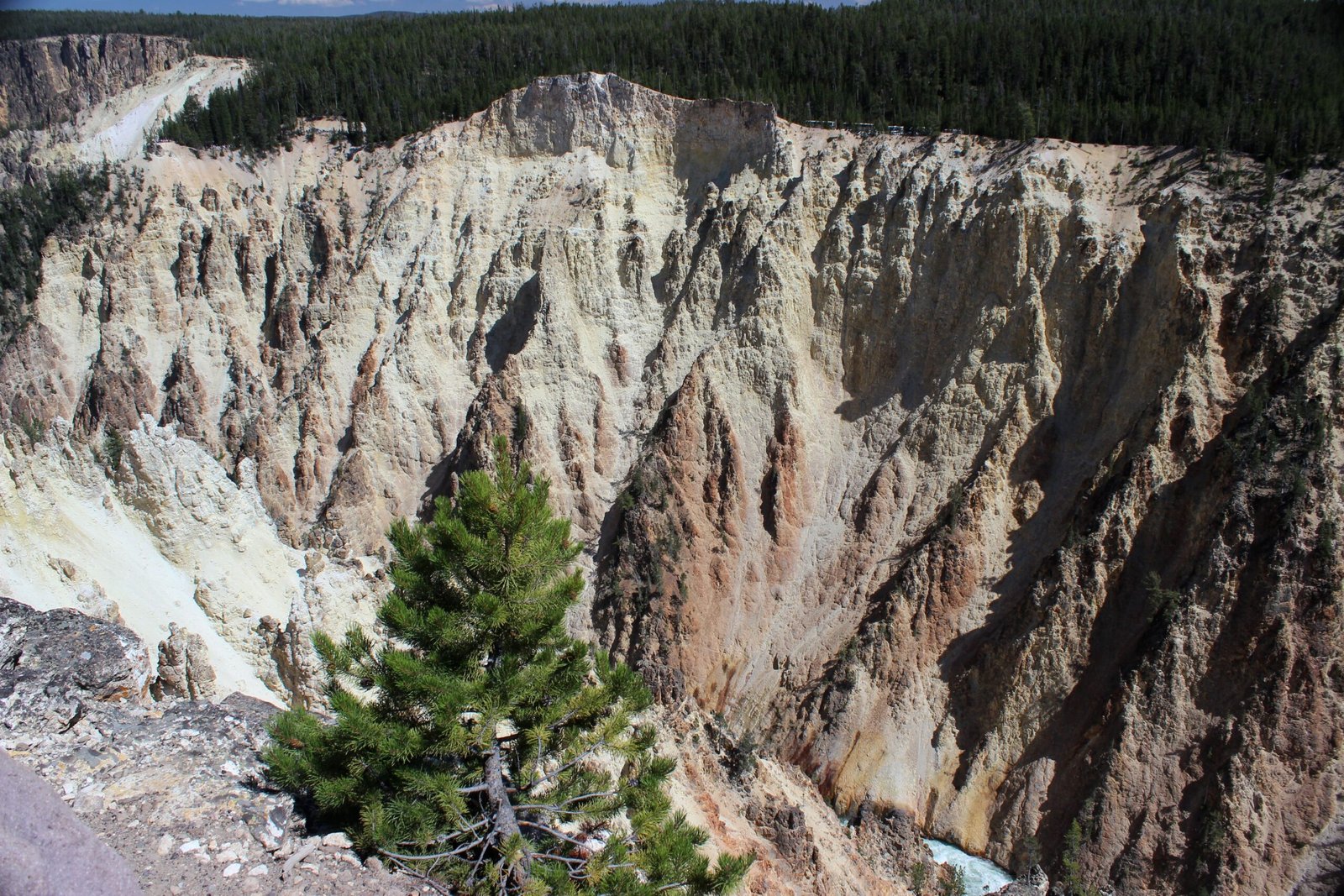 The Role of Erosion and Geological Activity (image credits: wikimedia)