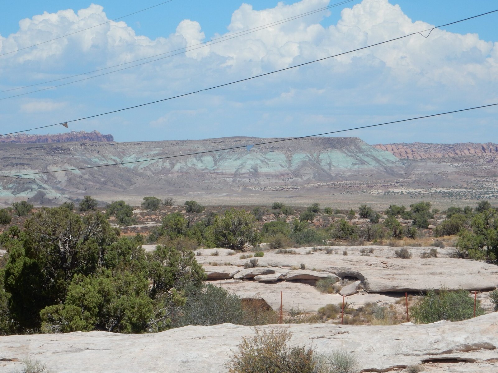 Comparisons to Other Fossil-Rich Sites (image credits: wikimedia)