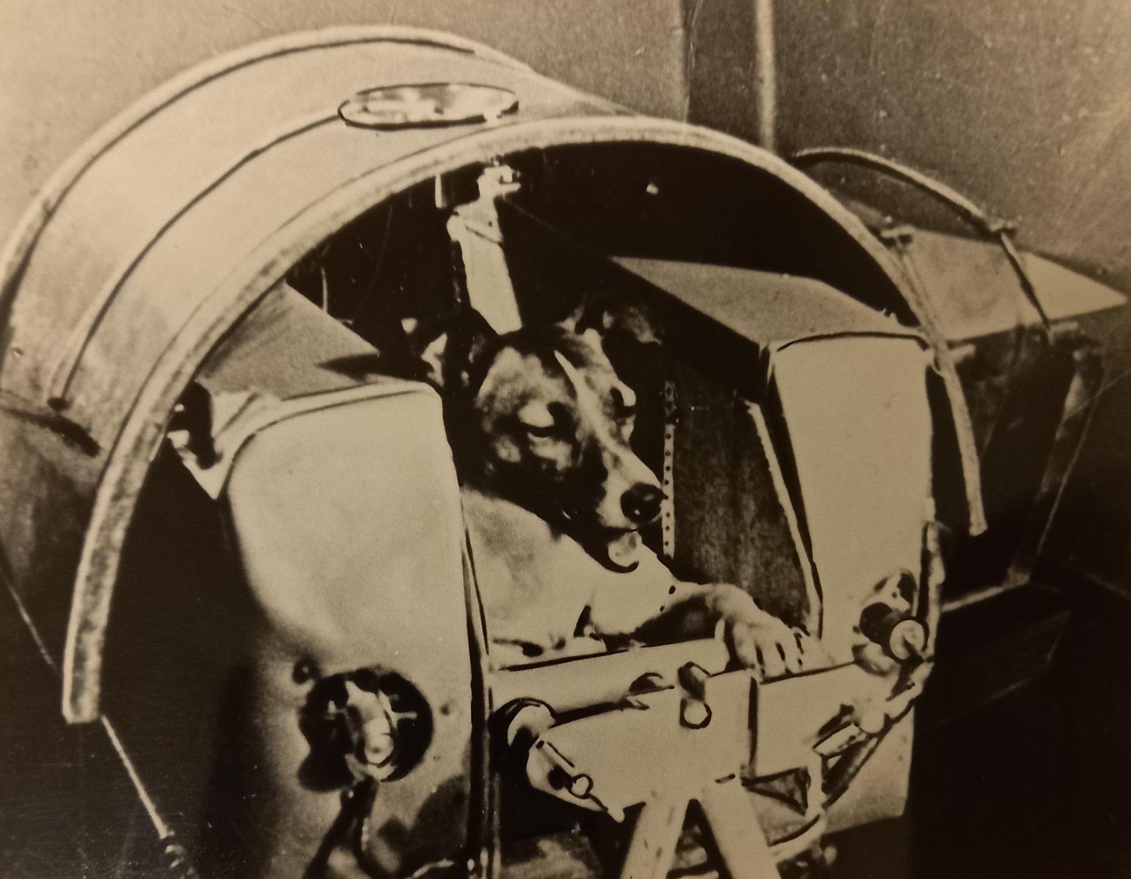 The Mission: Sputnik 2 and Laika's Historic Launch (image credits: wikimedia)