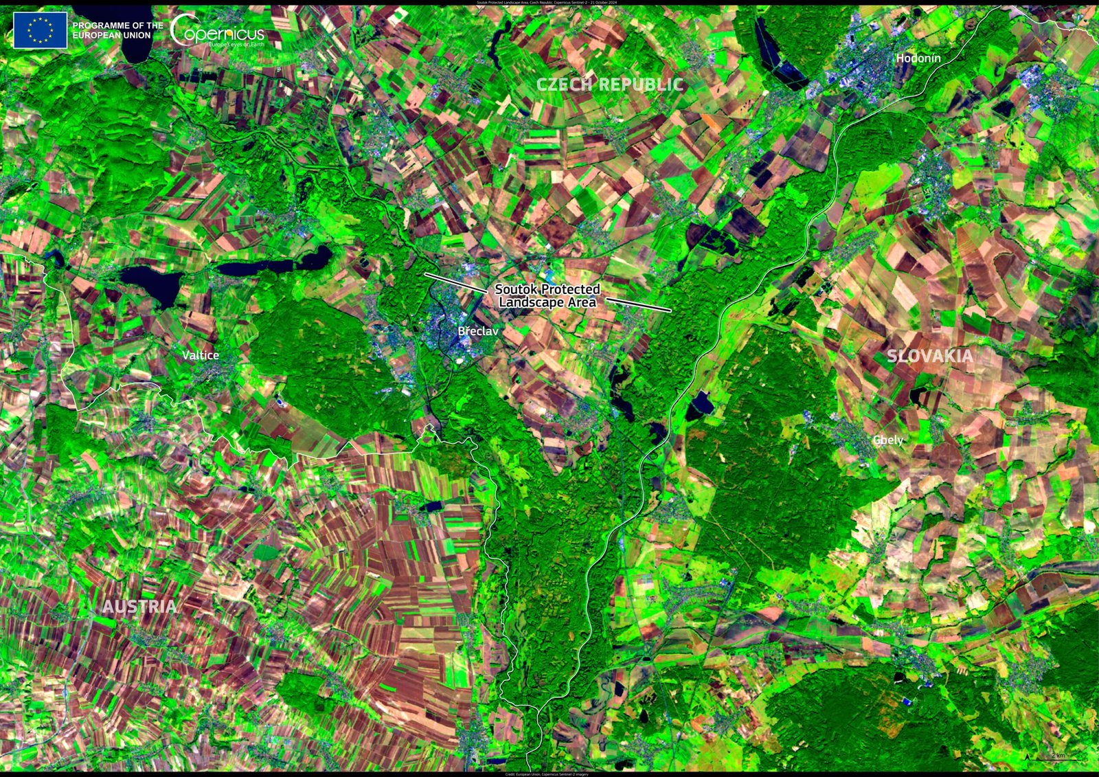 Inter-Species Communication: Beyond Trees (image credits: wikimedia)