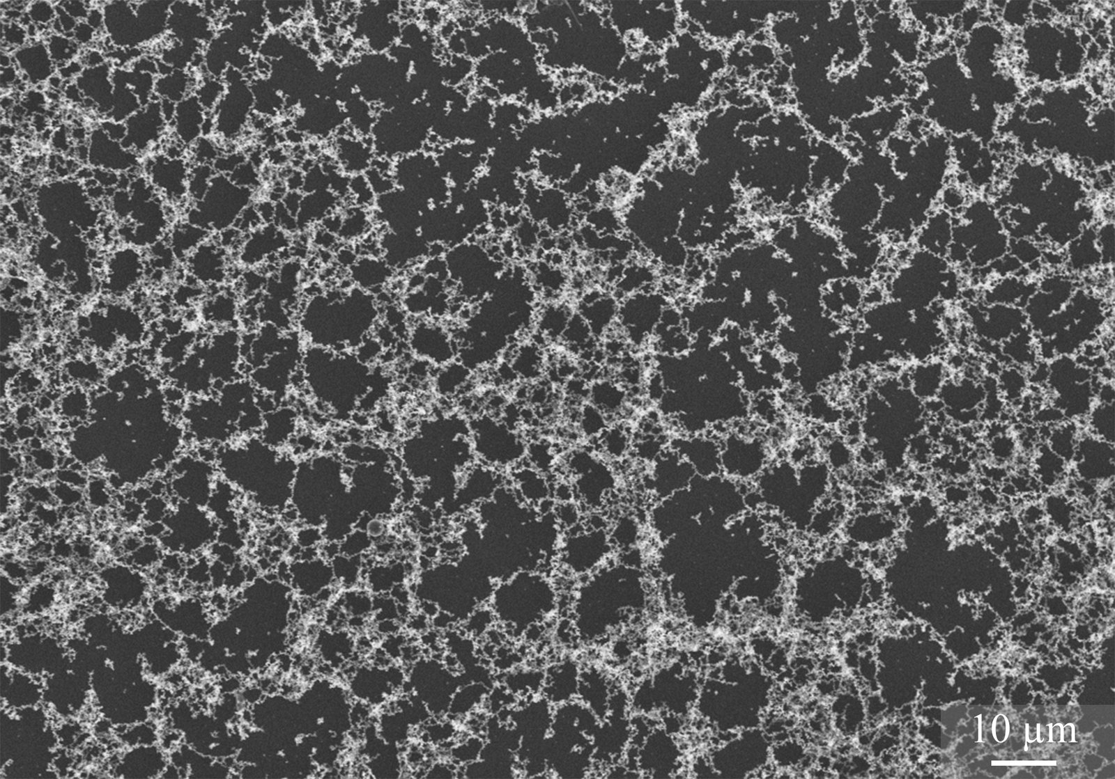 Silica's Unique Properties (image credits: wikimedia)