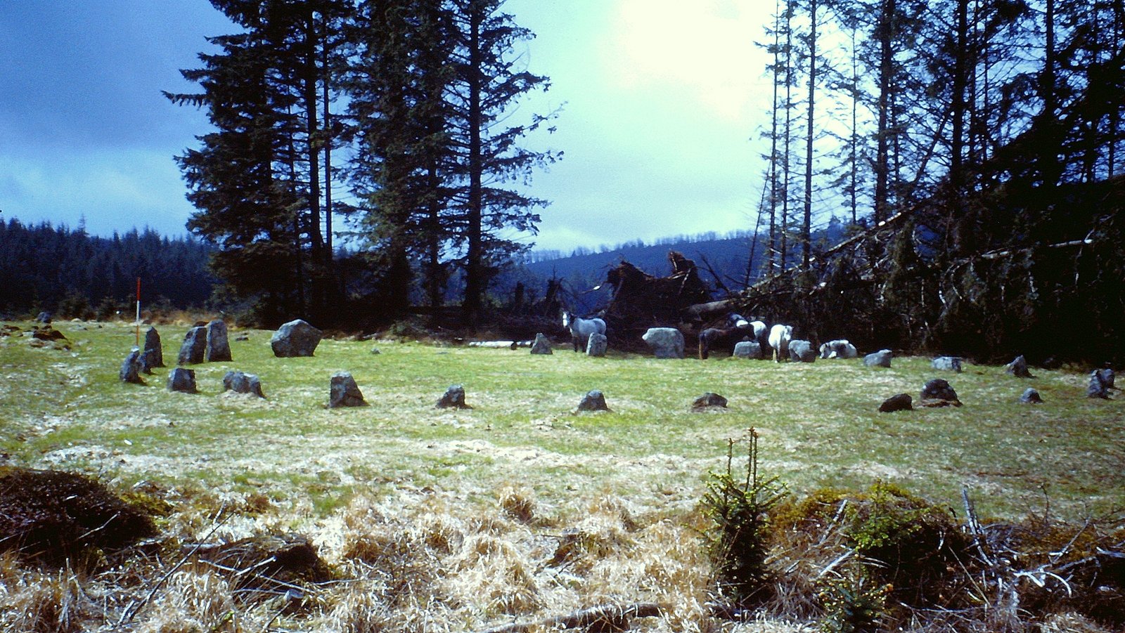 Preserving the Prehistoric Landscape (image credits: wikimedia)