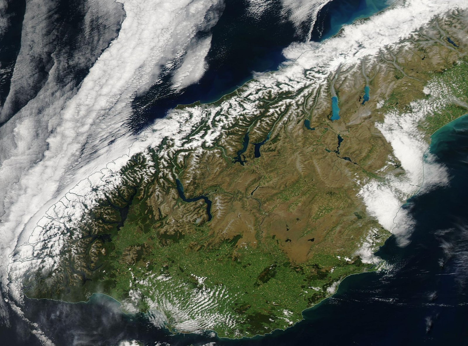 Lessons from New Zealand's Ecosystem (image credits: wikimedia)