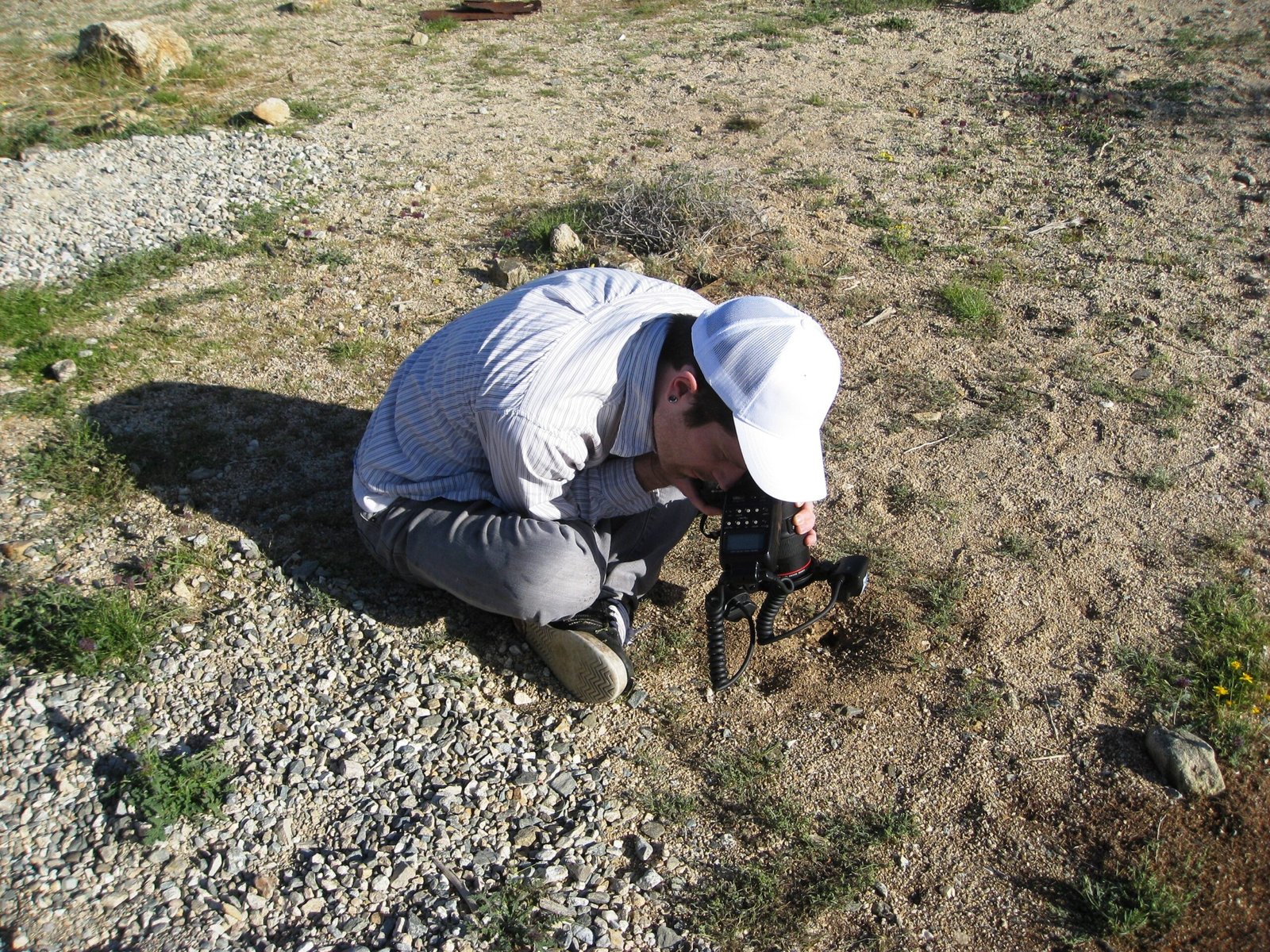 Social Structures and Hierarchies (image credits: wikimedia)