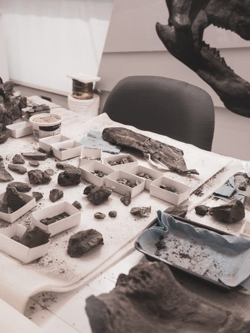 The Role of Fossils in Modern Science (image credits: pexels)