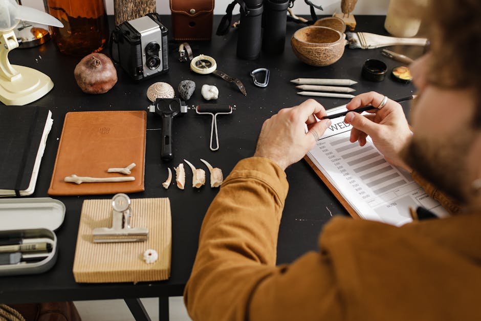 The Future of Fossil Research in Singapore (image credits: pexels)