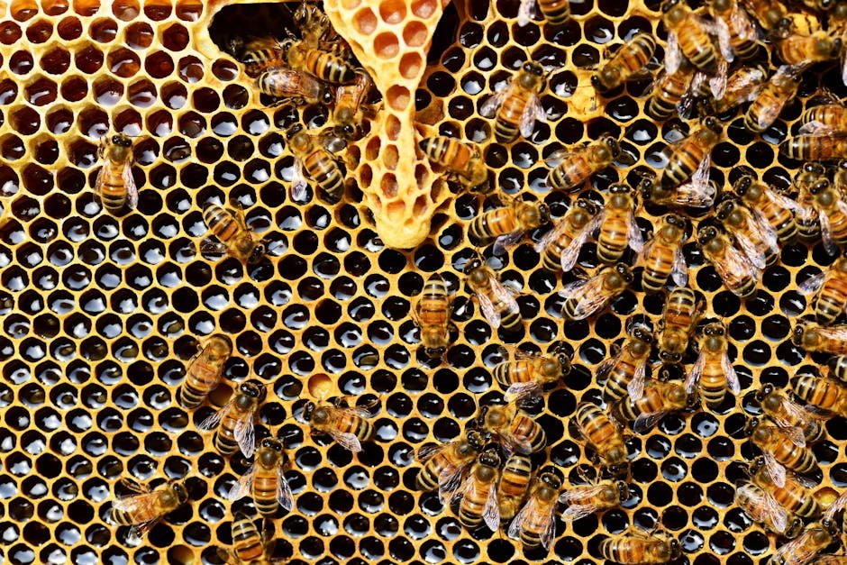 Bees Versus Dogs: A Surprising Comparison (image credits: pexels)