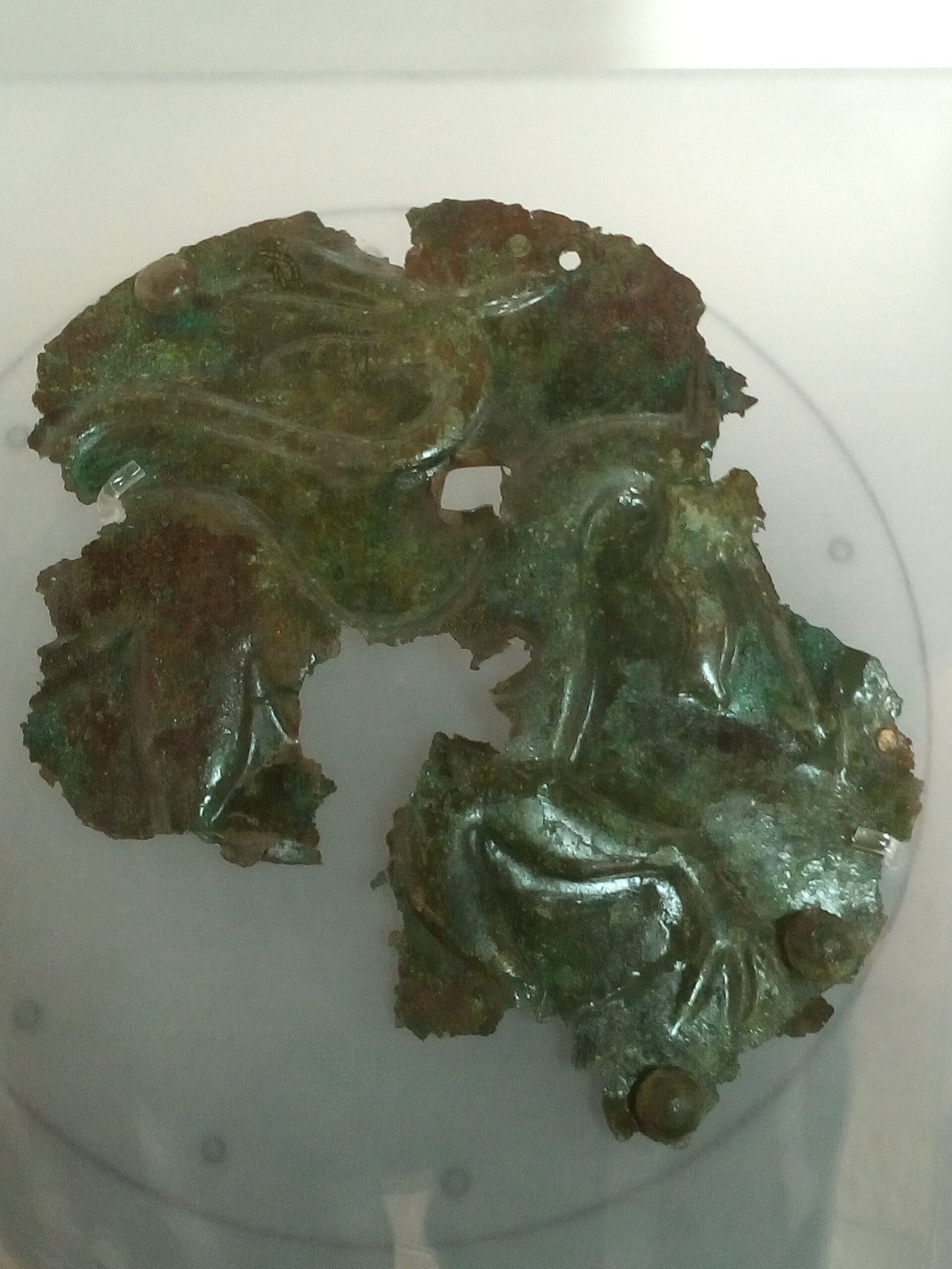 Medical Implications and Mysteries (image credits: wikimedia)