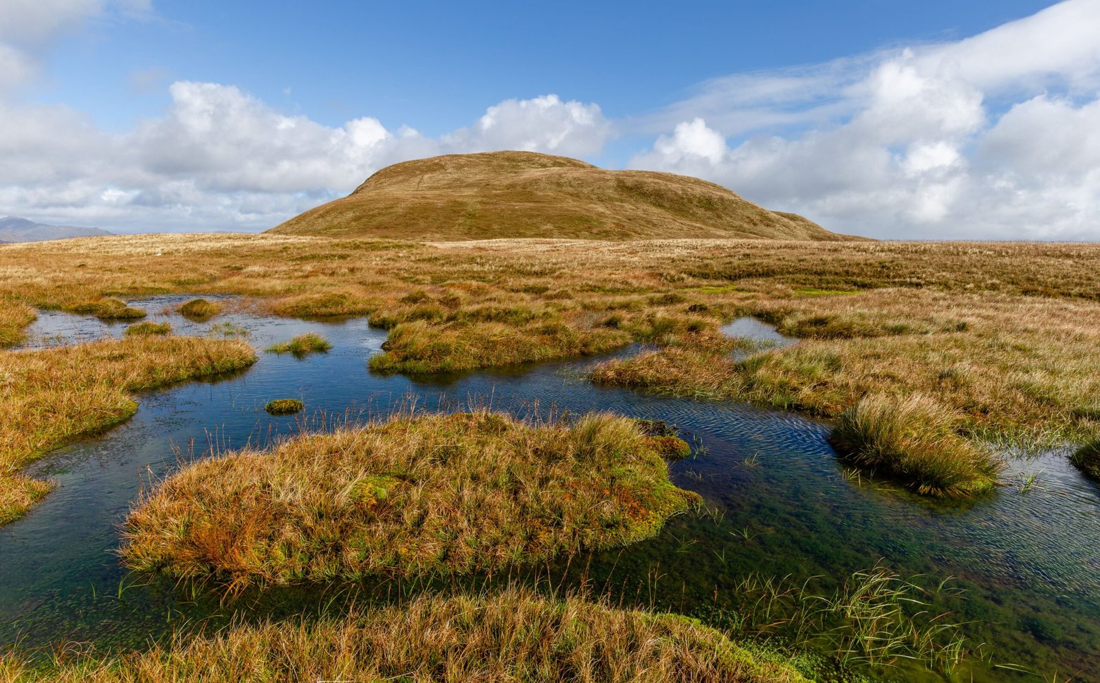 What Are Peat Bogs? (image credits: wikimedia)
