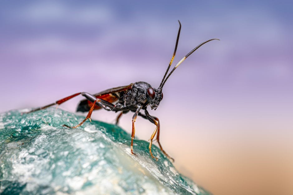 The Evolutionary Journey: A Tale of Adaptation (image credits: pexels)