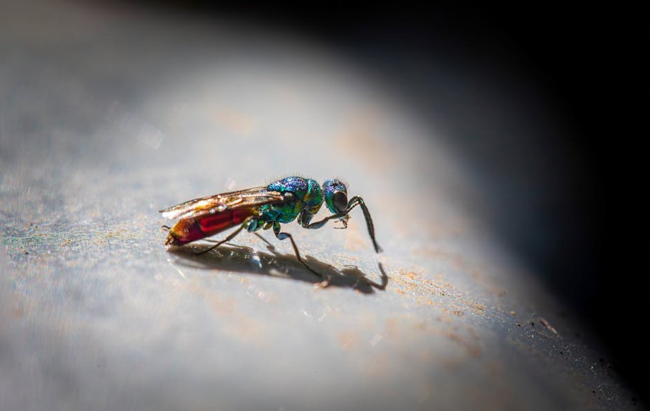 Geographical Diversity: A Global Phenomenon (image credits: pexels)