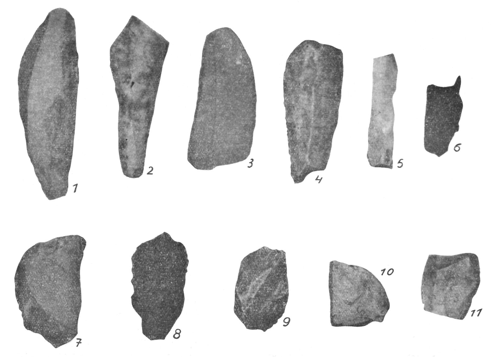 Archaeological Discoveries and Insights (image credits: wikimedia)