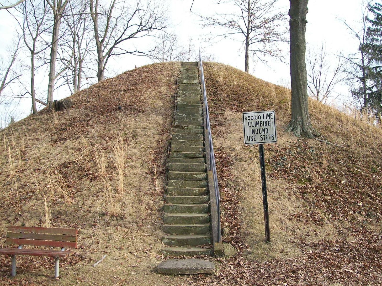 The Rediscovery and Preservation Efforts (image credits: wikimedia)