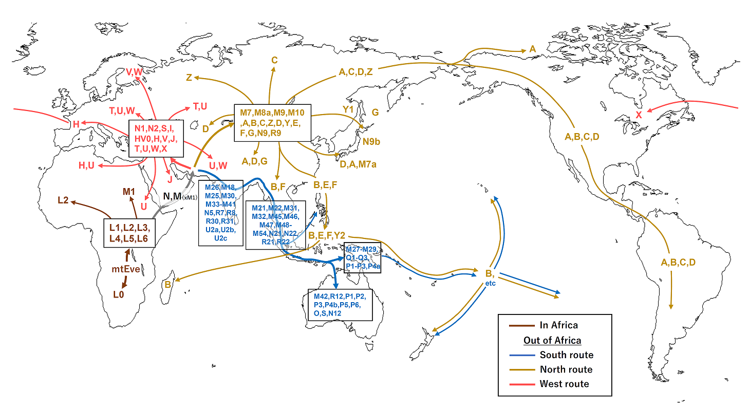 Tracing Human Migration Patterns (image credits: wikimedia)