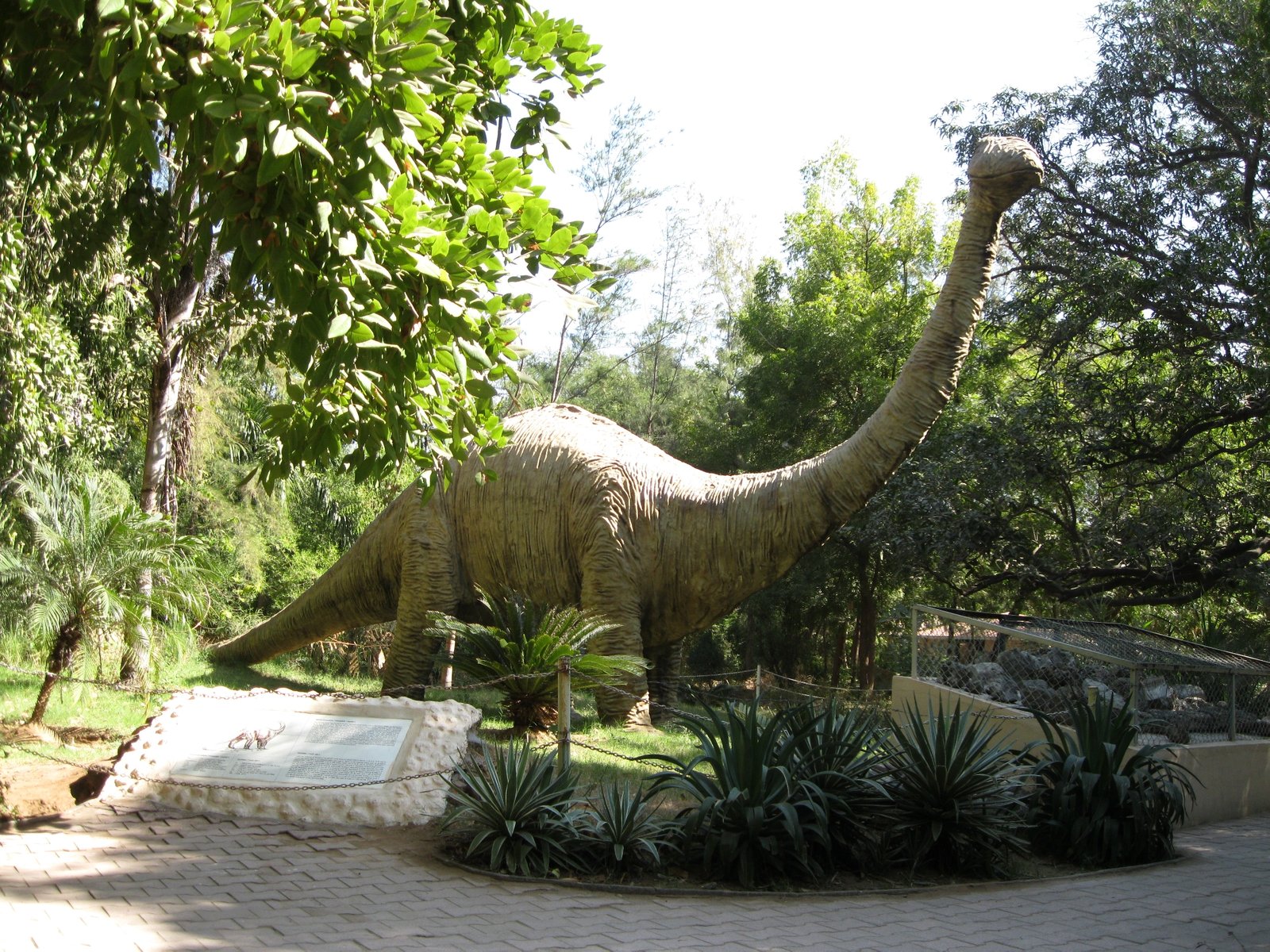 The Role of Paleontological Research (image credits: wikimedia)