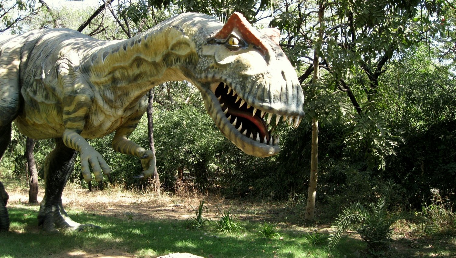 The Future of Dinosaur Research in Gujarat (image credits: wikimedia)