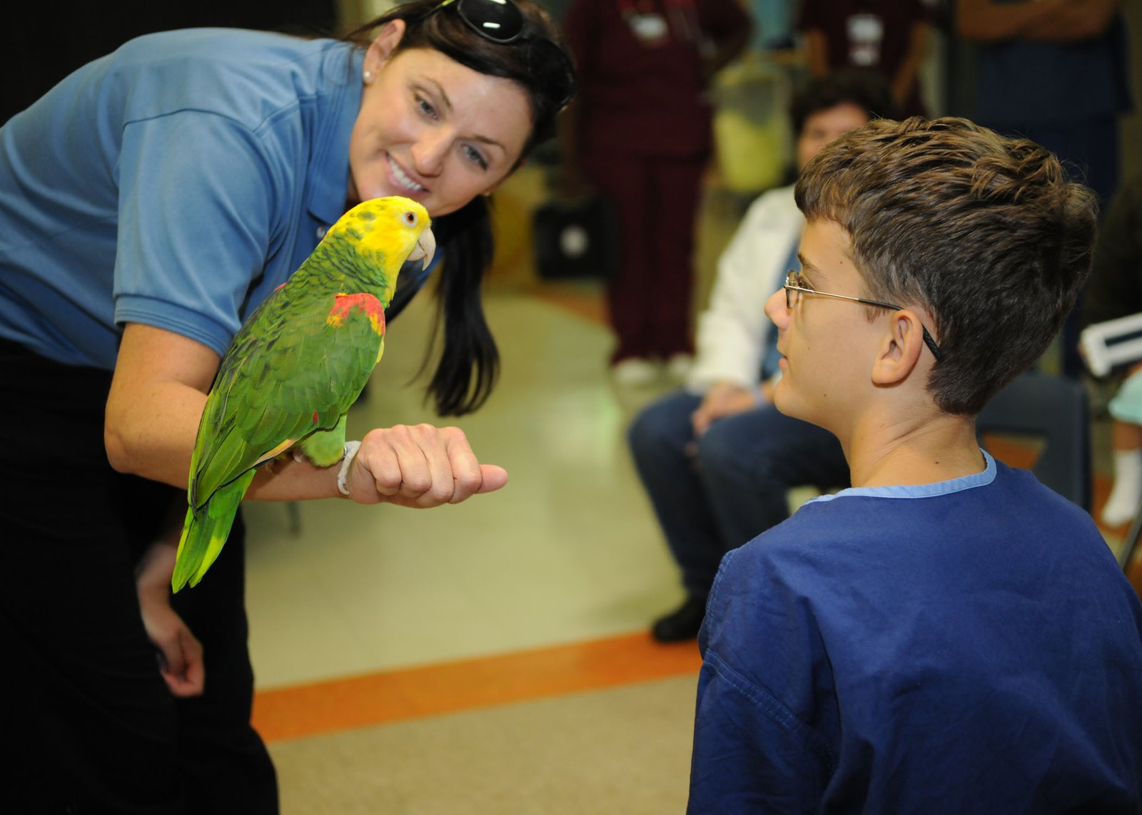 The Complexity of Parrot Communication (image credits: wikimedia)