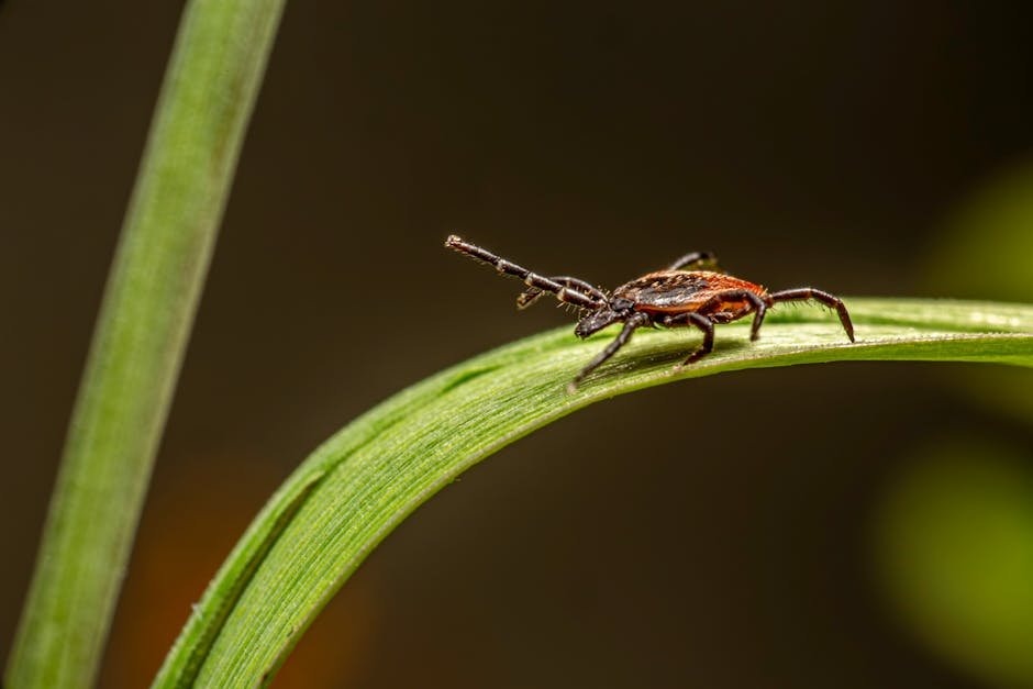 The Human Fascination: Tales of Horror and Wonder (image credits: pexels)