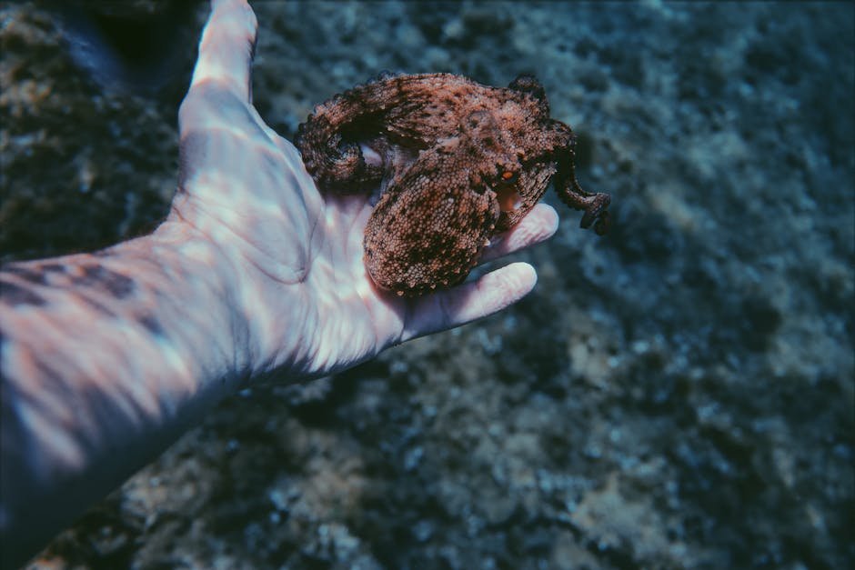 Human Connections: What We Can Learn (image credits: pexels)