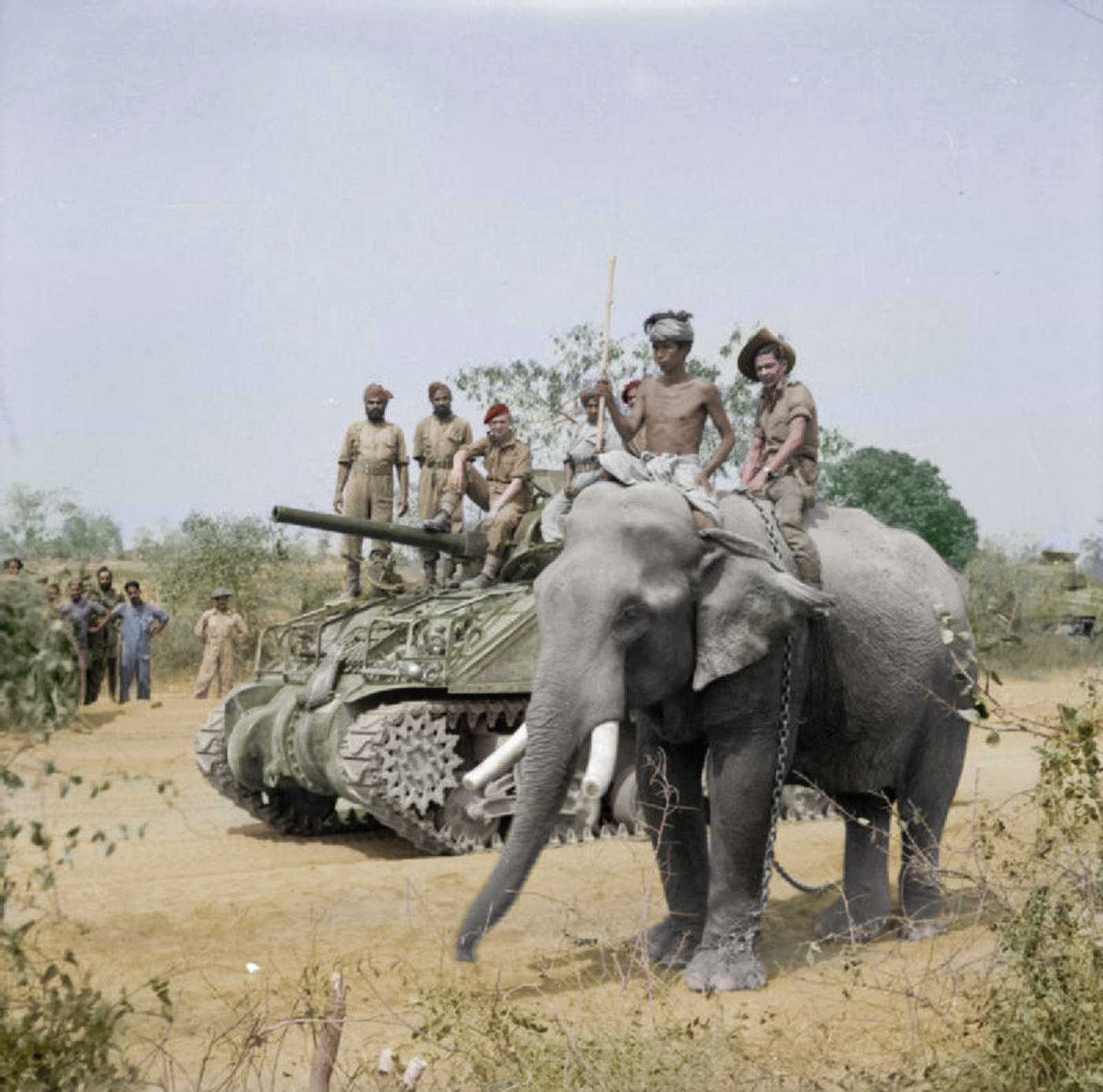 The Role of Elephants in Wartime Logistics (image credits: wikimedia)
