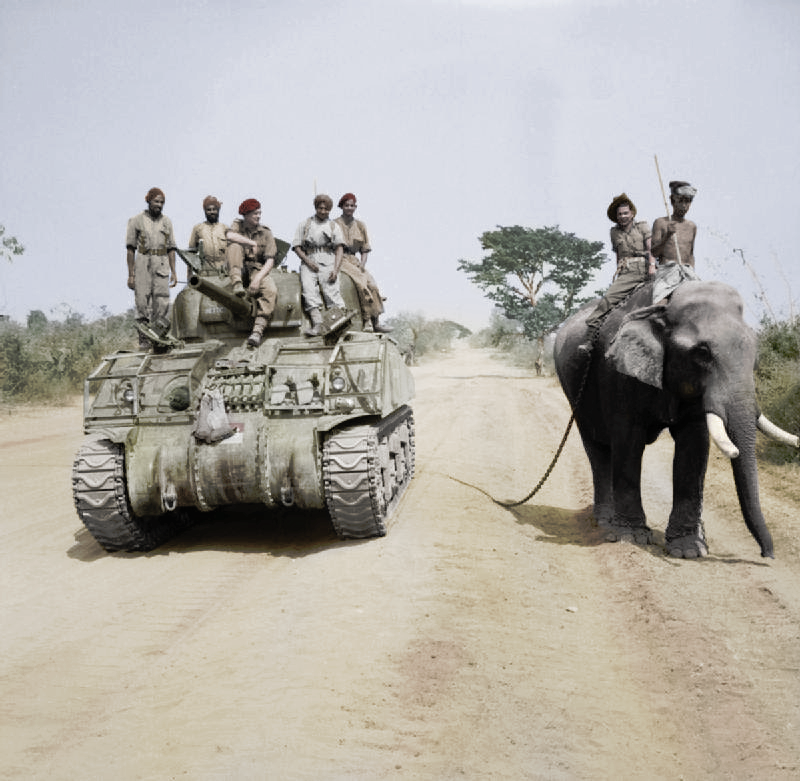 The Legacy of Elephants in Military History (image credits: wikimedia)