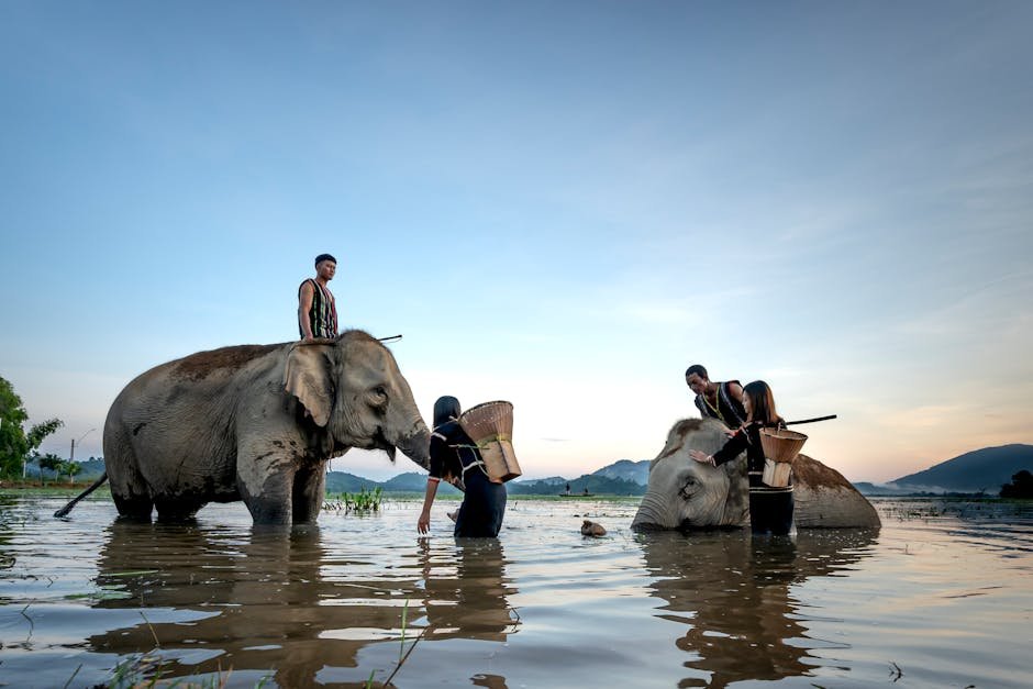 A Timeless Bond Between Humans and Elephants (image credits: pexels)
