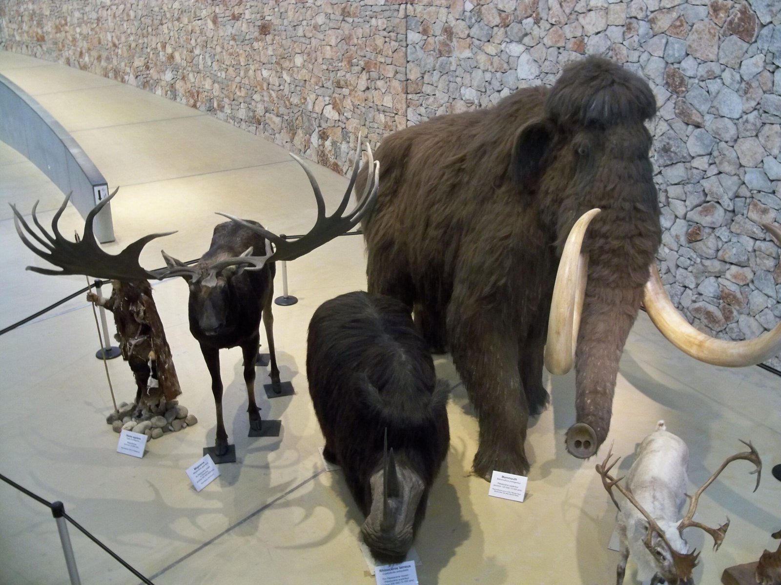 The Land of Giants: France's Prehistoric Past (image credits: wikimedia)