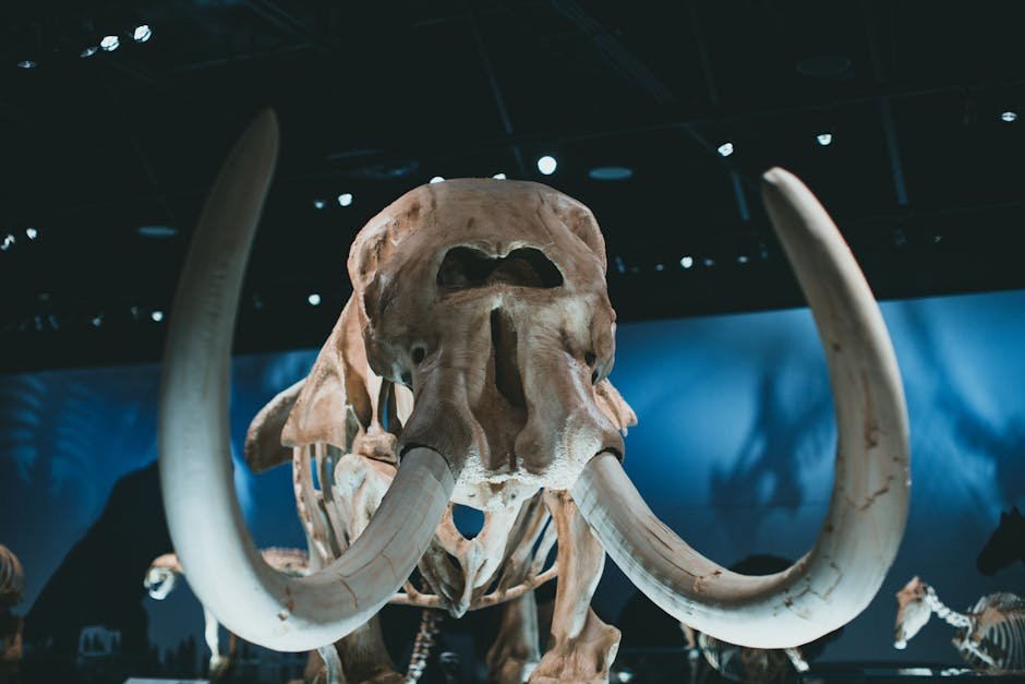 Fossil Discoveries: A Glimpse into the Past (image credits: pexels)