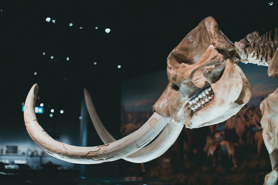 The Role of Climate: Shaping the Ice Age Landscape (image credits: pexels)
