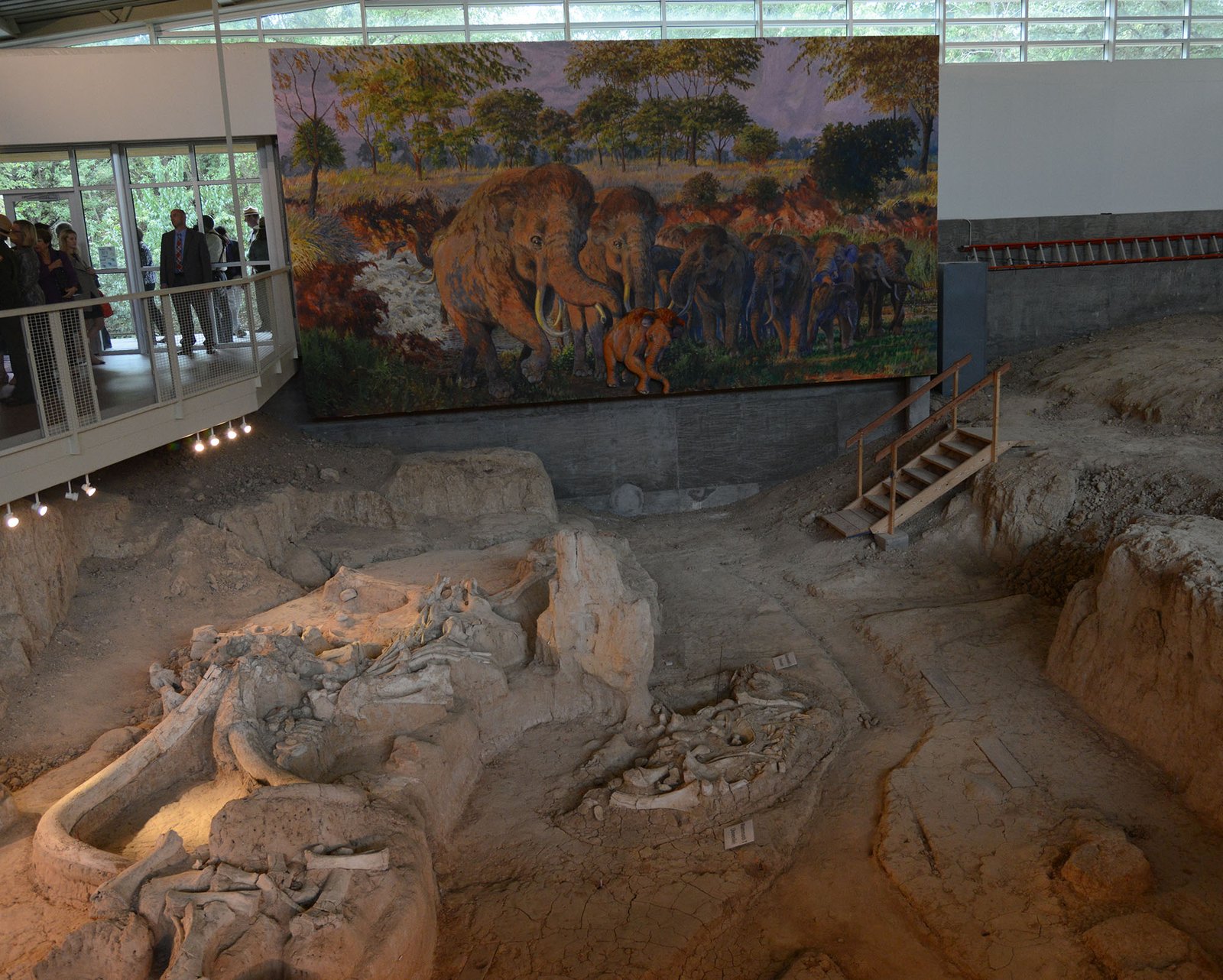 Fossils as Time Capsules: Unlocking Prehistoric Secrets (image credits: wikimedia)