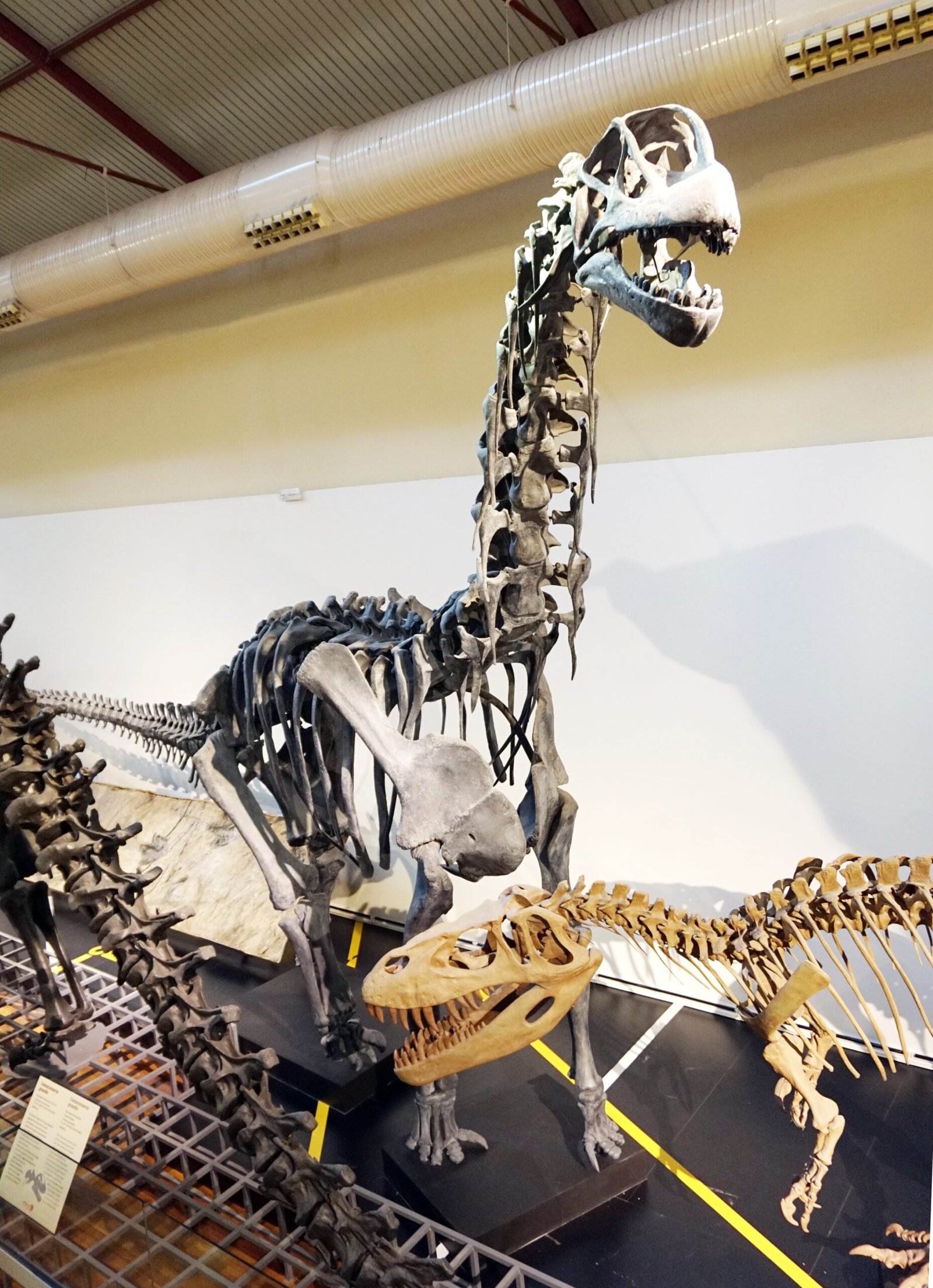 Spain: A Dinosaur Haven (image credits: wikimedia)