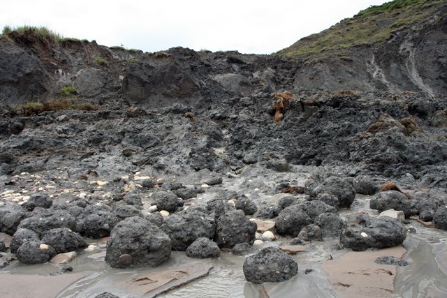 The Impact of Climate and Environment (image credits: wikimedia)