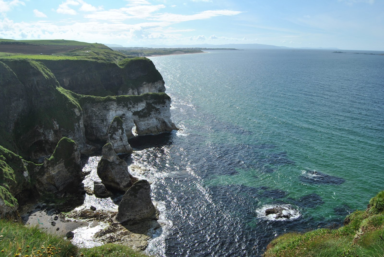 Exploring the Cretaceous Coast Today (image credits: wikimedia)