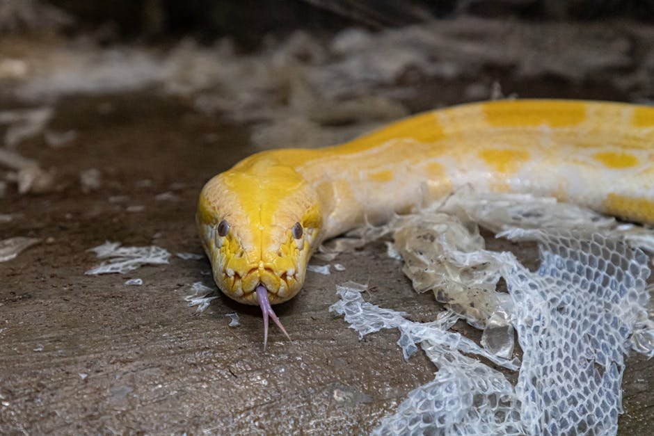 The Power of Snake Fear (image credits: pexels)