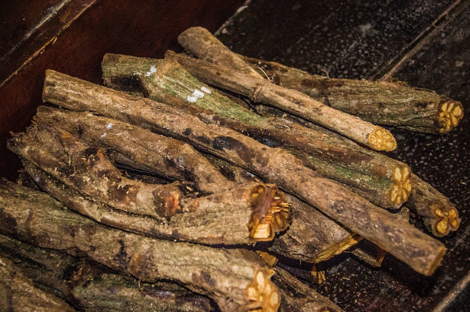 The Mysterious Power of Ayahuasca (image credits: wikimedia)