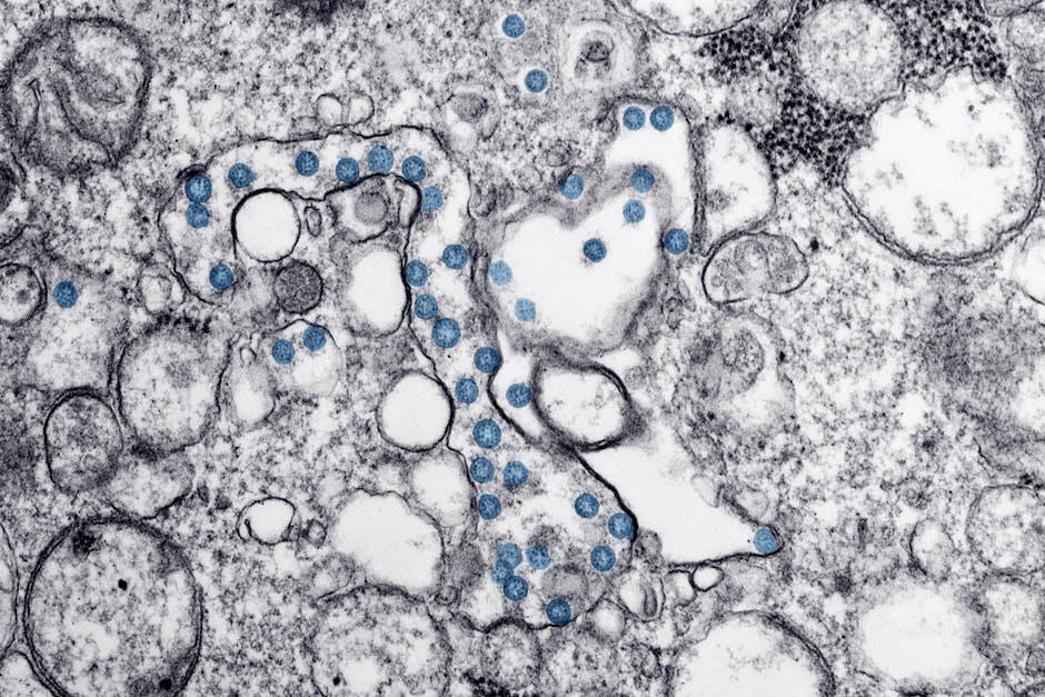 The Silent Infection: How It Spreads (image credits: pexels)