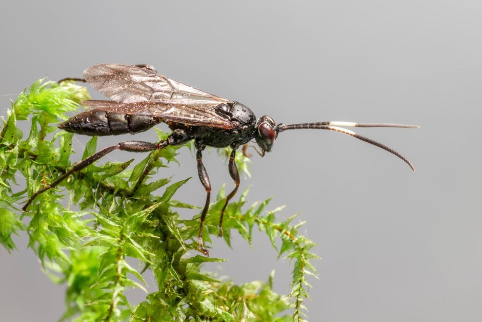 Manipulating Minds: The Parasite's Influence (image credits: pexels)