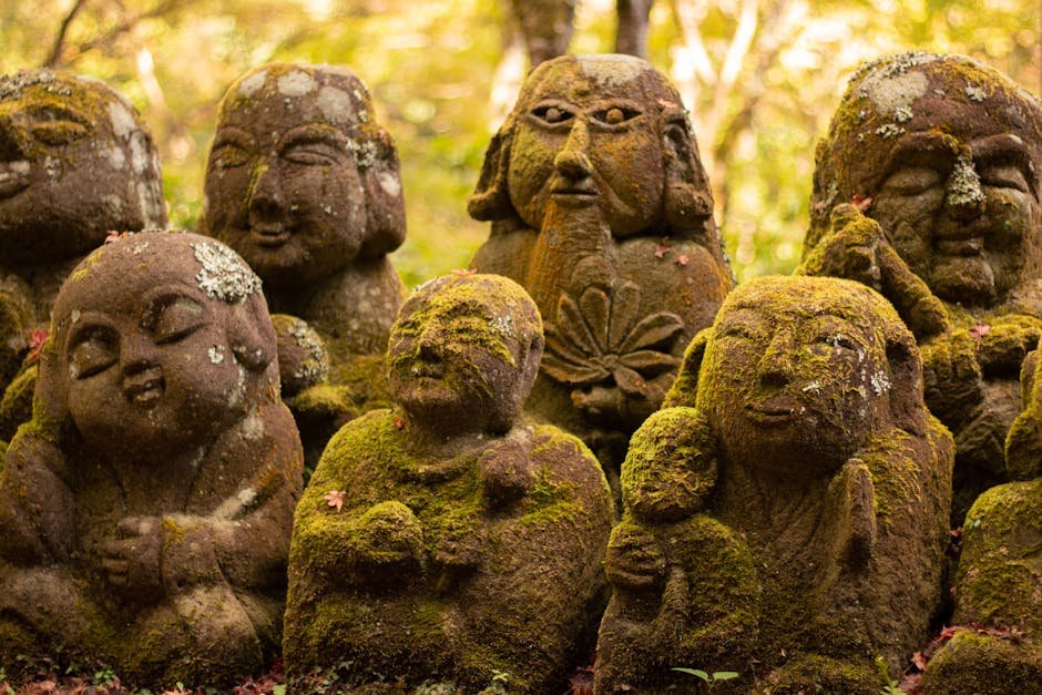 Implications for Our Understanding of Prehistory (image credits: pexels)