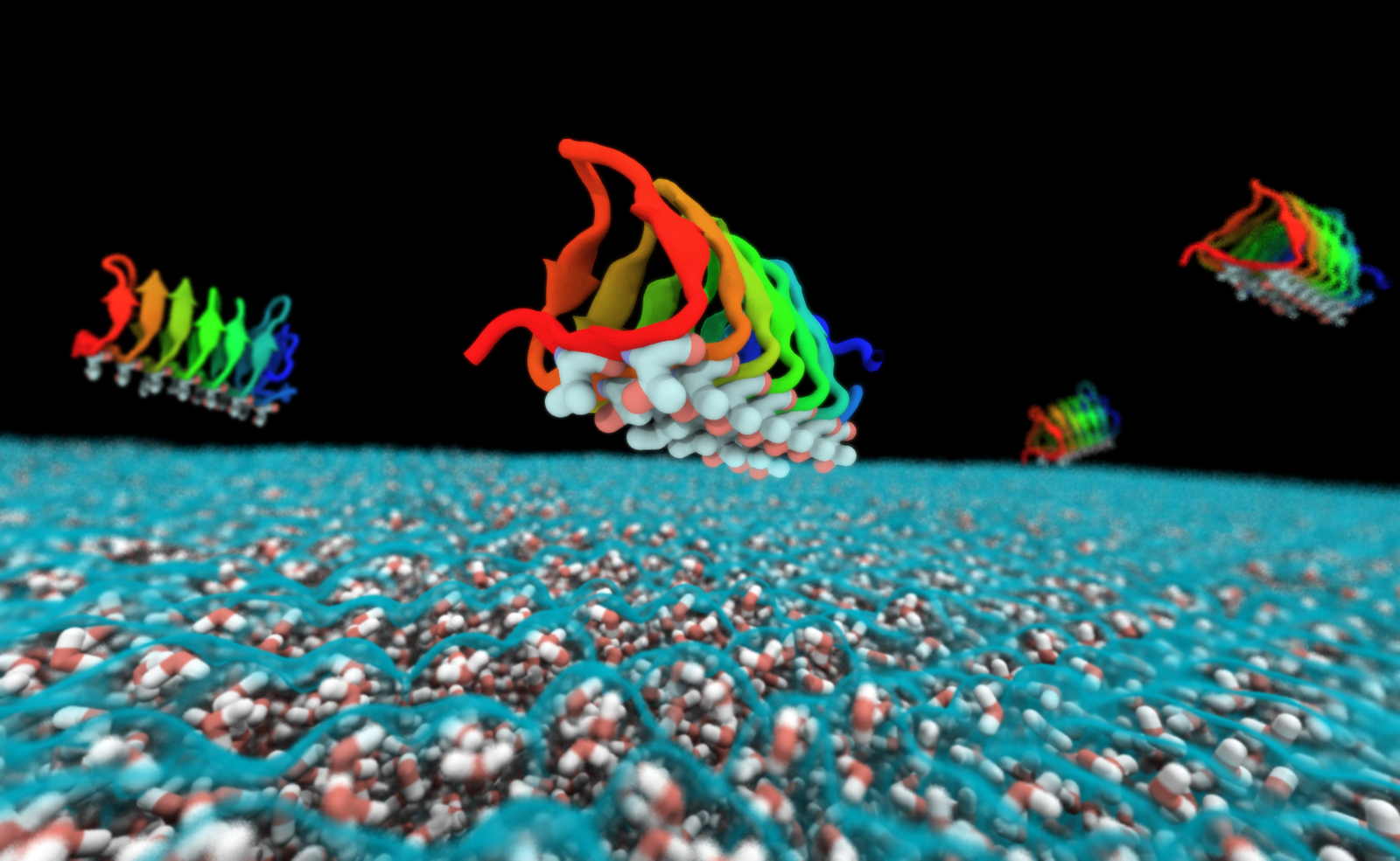 The Role of Antifreeze Proteins (image credits: wikimedia)