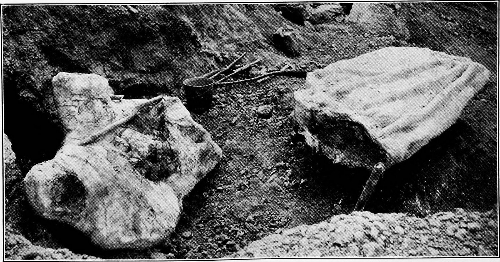 The Geological Marvel of Alberta (image credits: wikimedia)