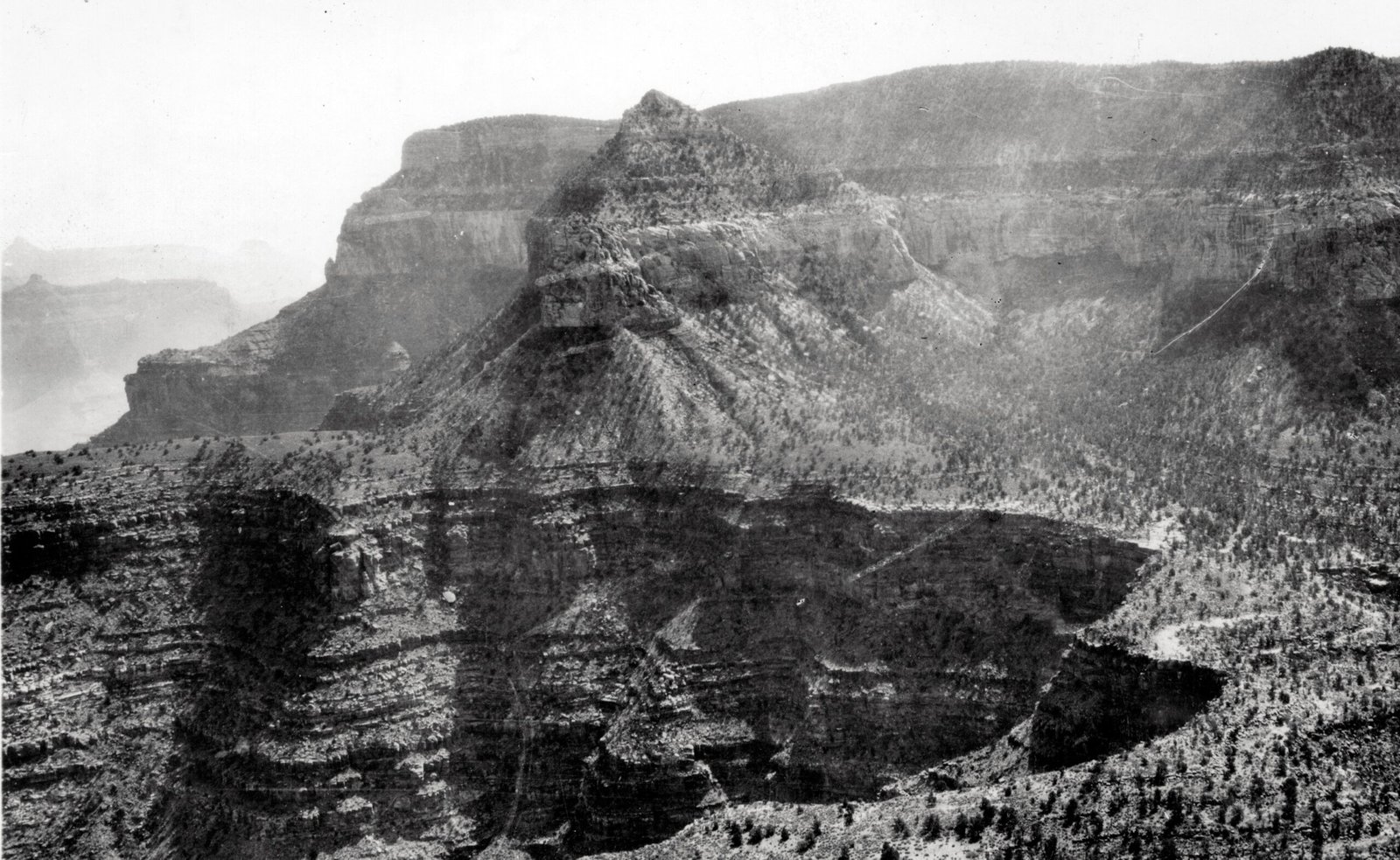 Why Alberta? The Perfect Fossil Conditions (image credits: wikimedia)